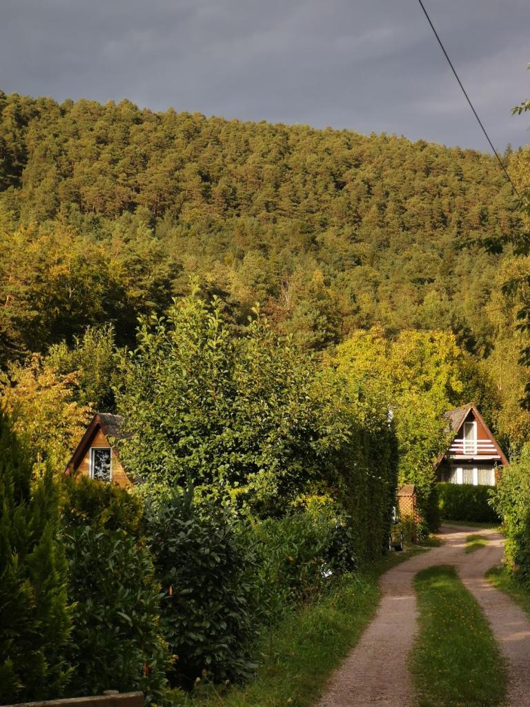 Haus in der Natur photo 2