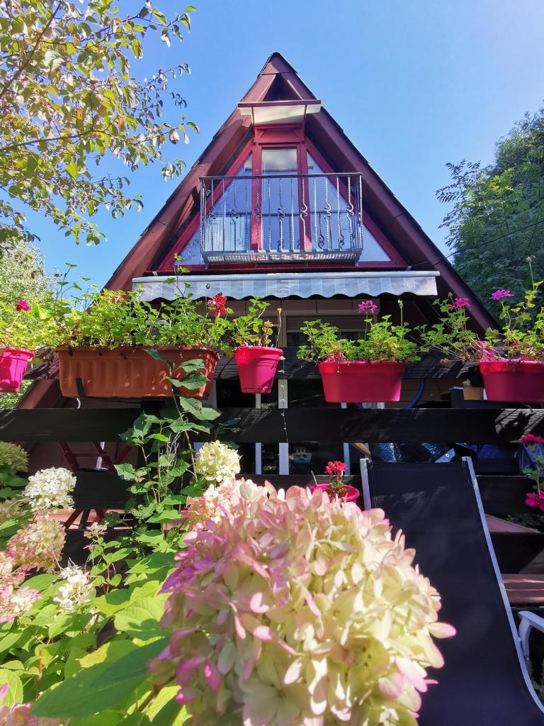 Haus in der Natur photo 3