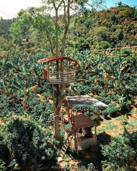 Finca Agroturistica Las Margaritas photo 1