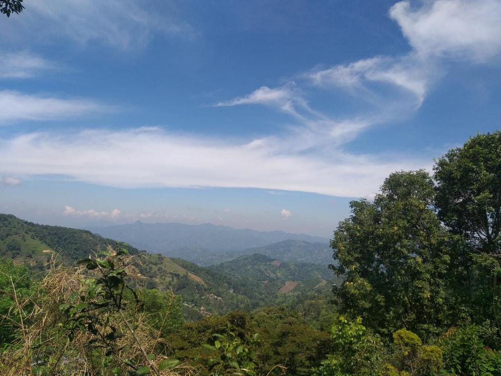 Mirador de la Montaña Glamping photo 3