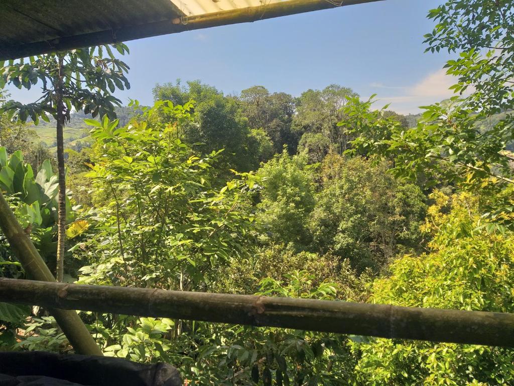 Mirador de la Montaña Glamping photo 2