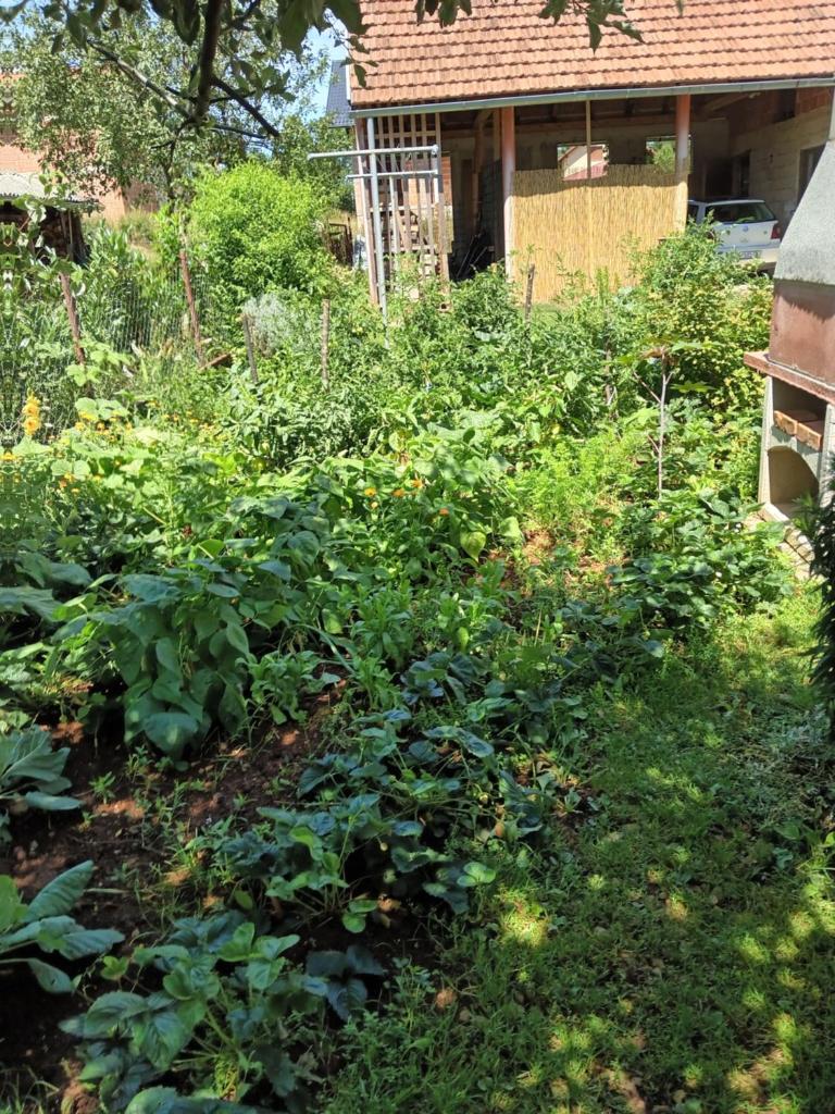 APARTMAN PAVELIĆ photo 4