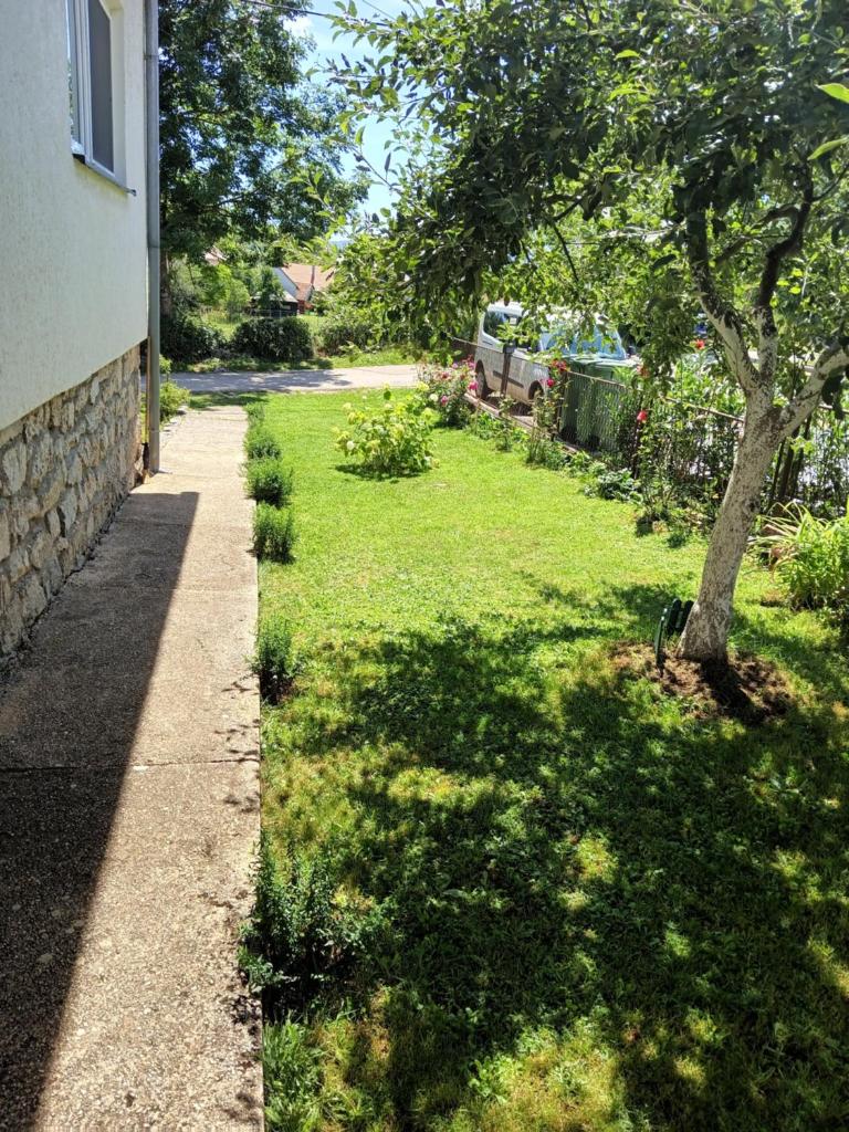 APARTMAN PAVELIĆ photo 1