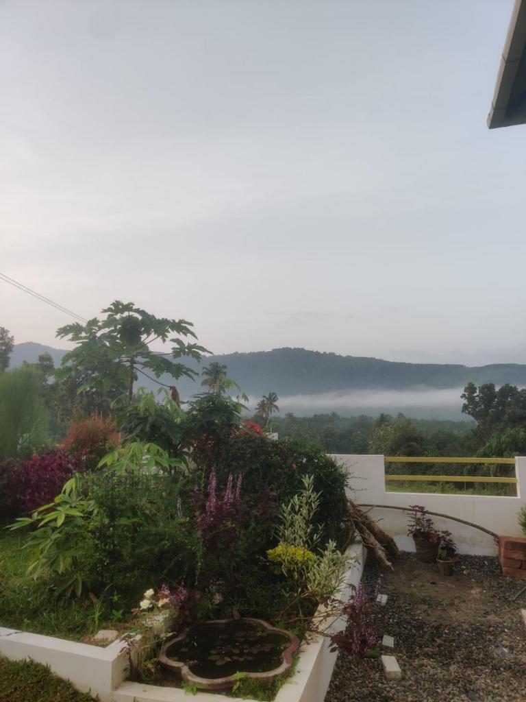 HILL VIEW RESORT photo 1