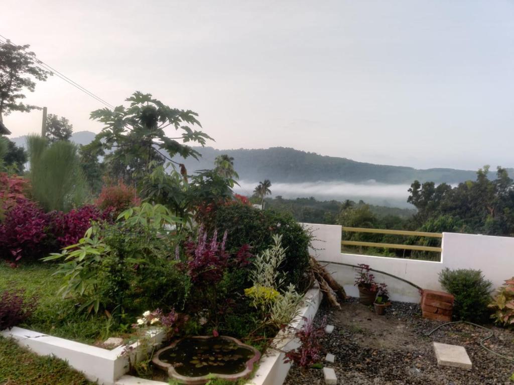 HILL VIEW RESORT photo 4