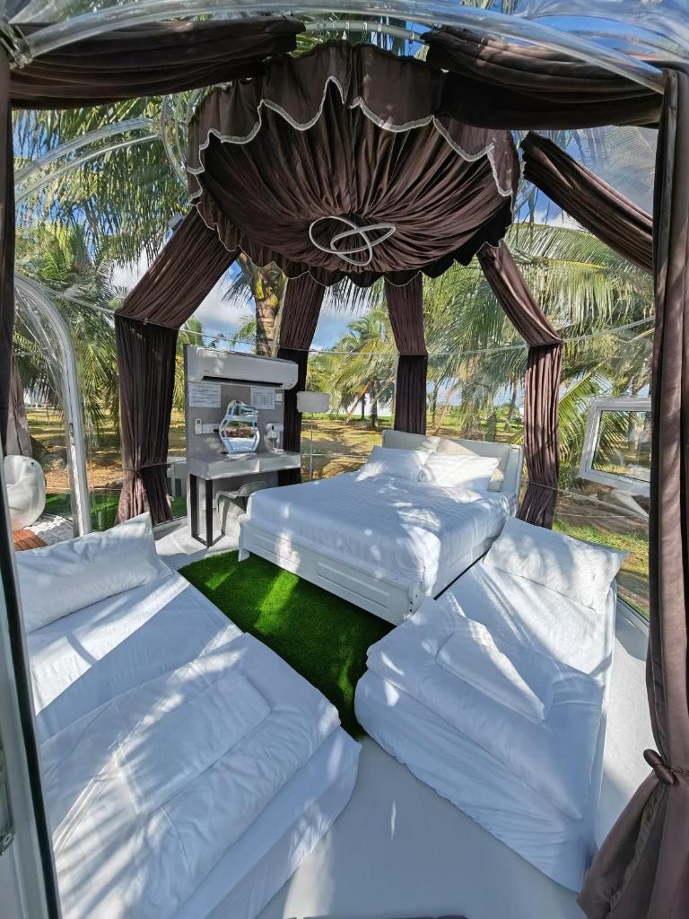 The Coco Journey - Eco Dome photo 1