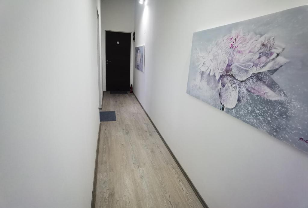 Art Room & Apartment photo 1