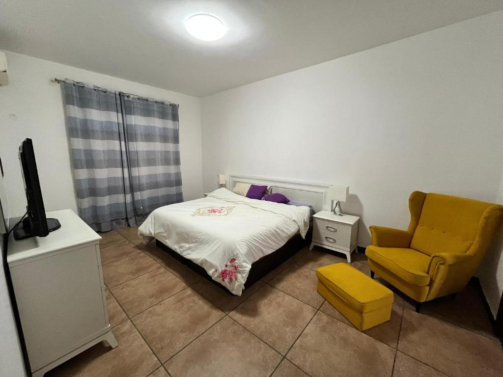 APARTMENTO LUMINOSO photo 4