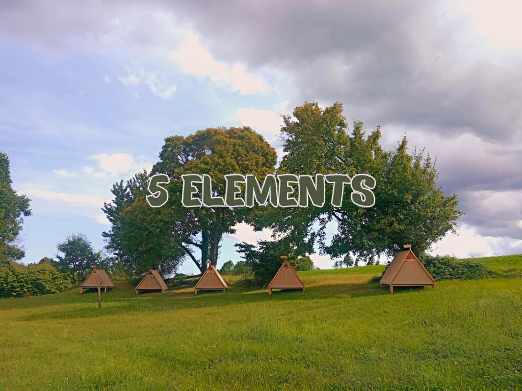 La dolce vita Camp photo 2