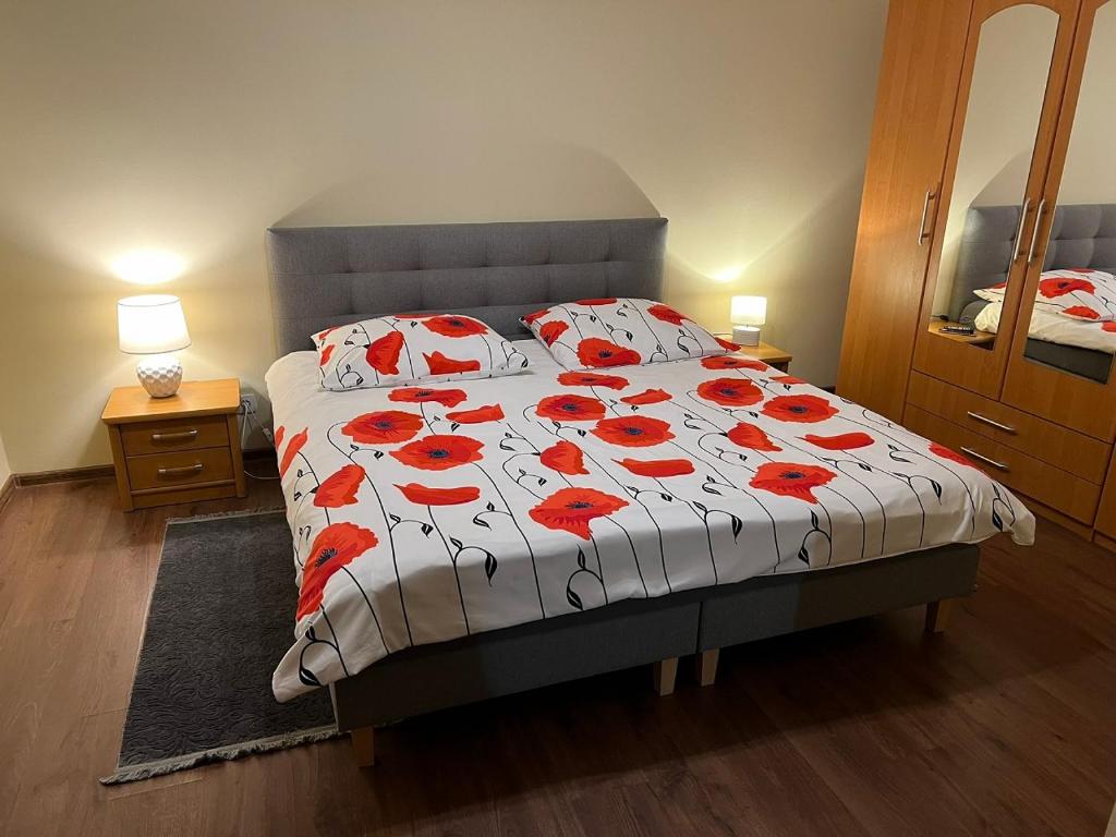 Apartament Kudowa Zdrój - Słone 60m2 photo 3
