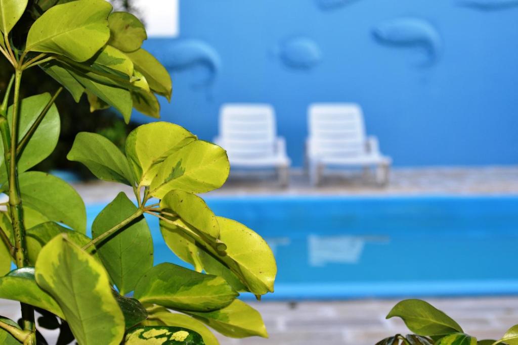 Hotel Penha photo 3