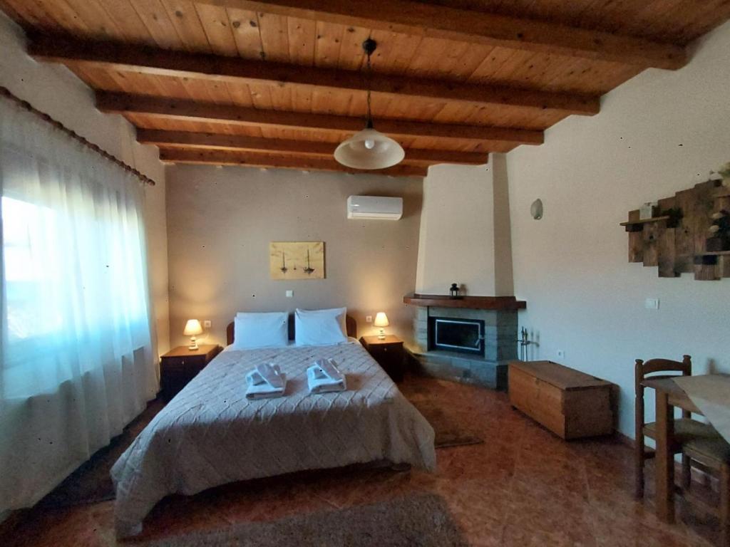 Guesthouse Platon photo 3