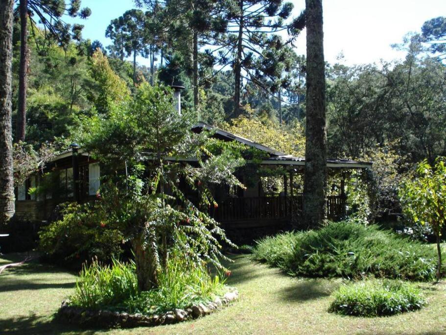 Casa dentro do Horto Florestal - puro sossego! photo 4