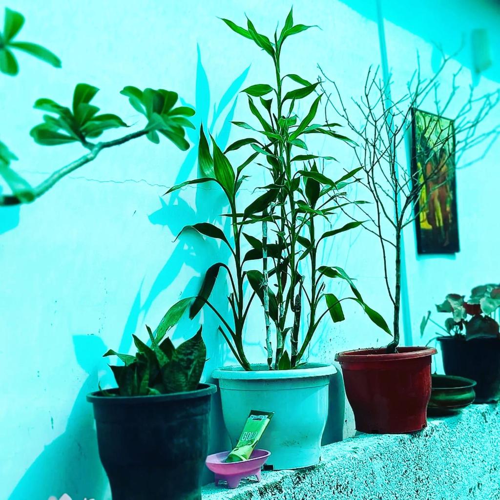 Beach vibe hostel photo 4