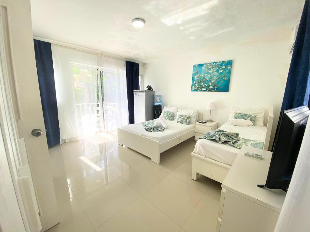 ATLANTICO STUDIOS - PLAYA LOS CORALES - beach club, wifi, swimming pool photo 4