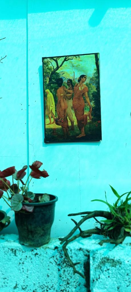 Beach vibe hostel photo 2