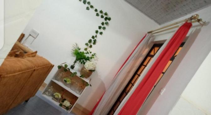 COZY SPACIOUS ONE BEDROOM AIRBNB WITH GOOD LIGHTING ,AMPLE PARKING AND WIFI photo 3