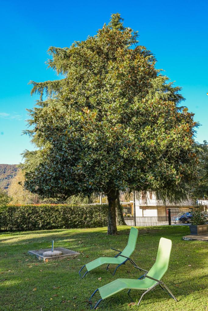 La Magnolia photo 3