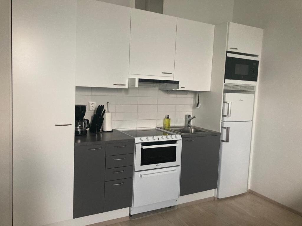 Kotimaailma Apartments Vapaudenkatu 48-50 B53 photo 4