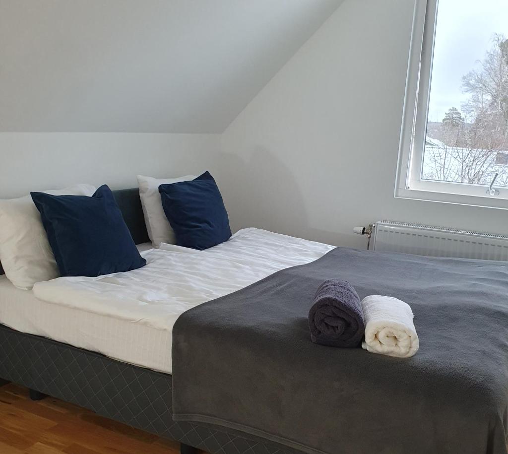 three bedrooms villa segersjö photo 1