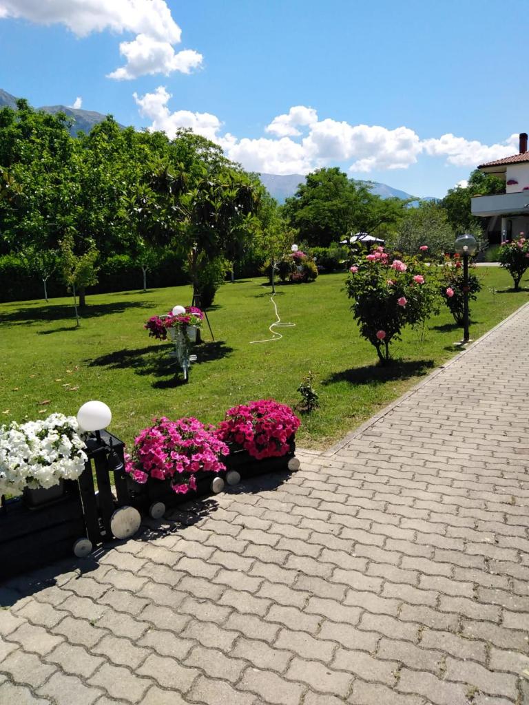 Parco delle Rose photo 2