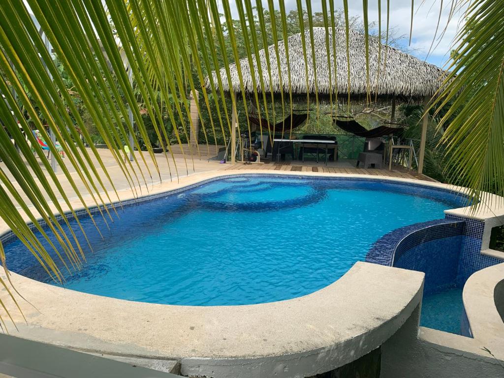 Brisas del Mar photo 2