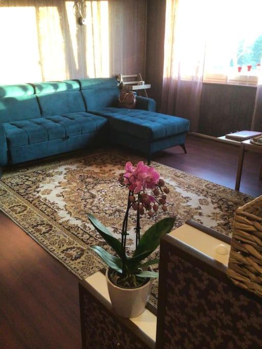 Luxurious Specious appartment photo 4