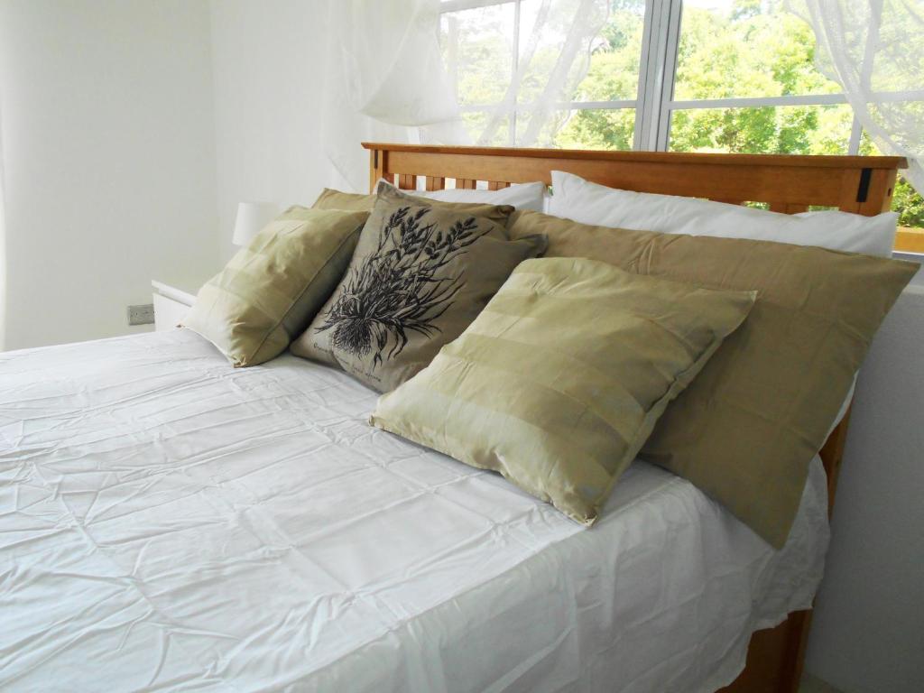 VJ's Guesthouse Mountain View photo 2
