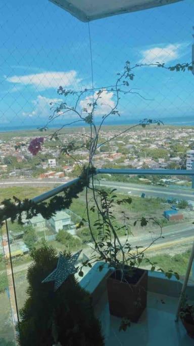 Complete apartment in Barranquilla photo 3