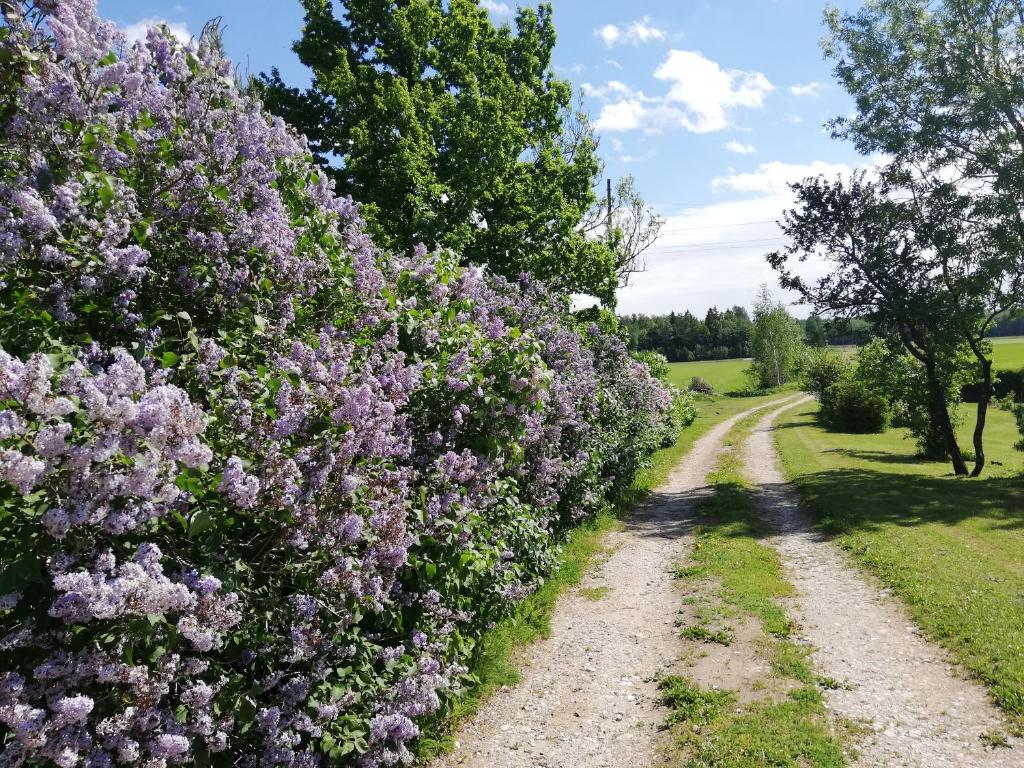 Tuka Talu Soomaa piirkonnas photo 3