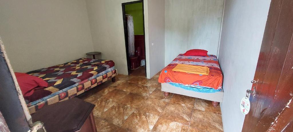 Casa David photo 1
