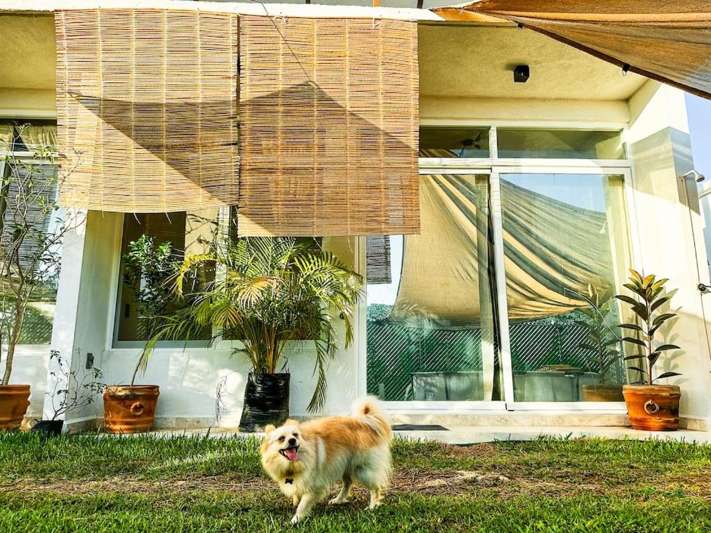 Casita Playita photo 2