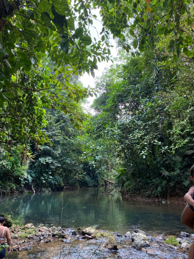 Cabinas Corcovado Green Parrot, Los Planes Drake photo 3