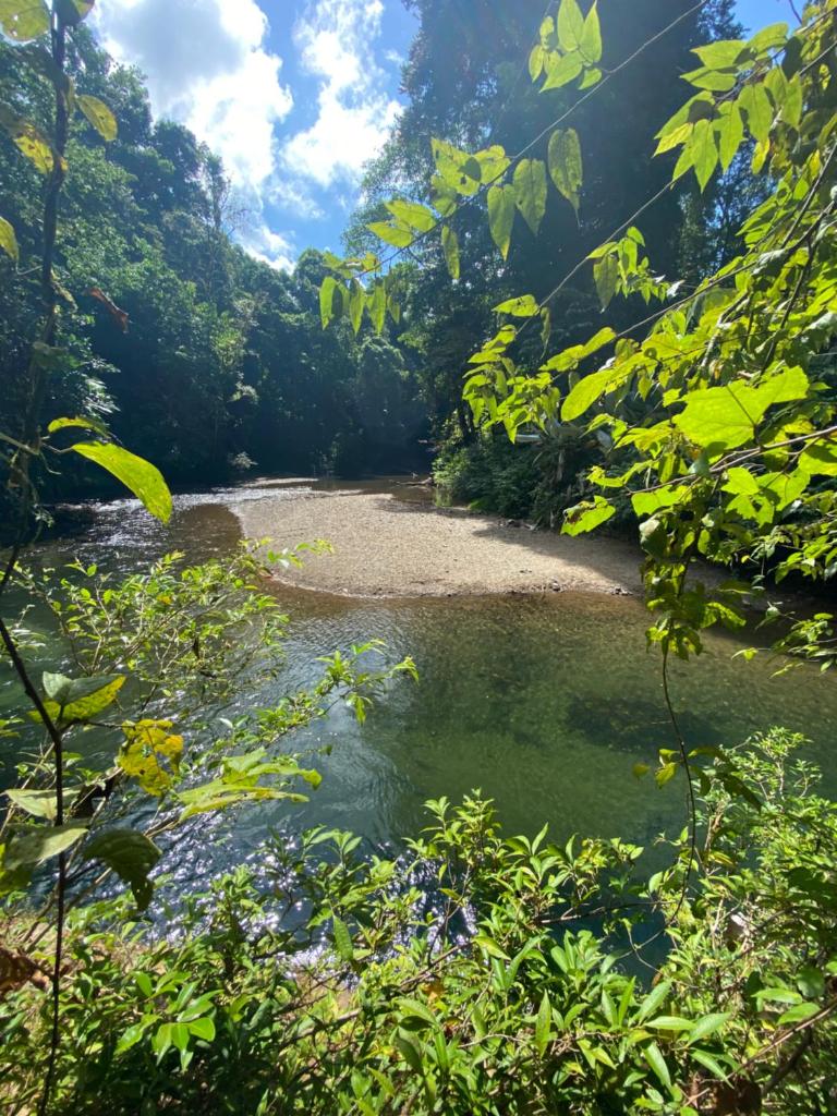 Cabinas Corcovado Green Parrot, Los Planes Drake photo 1