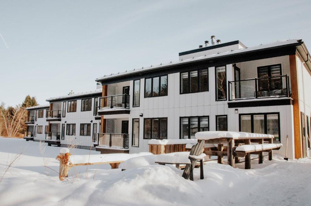 Suite 103 - Destination Mont-Orford