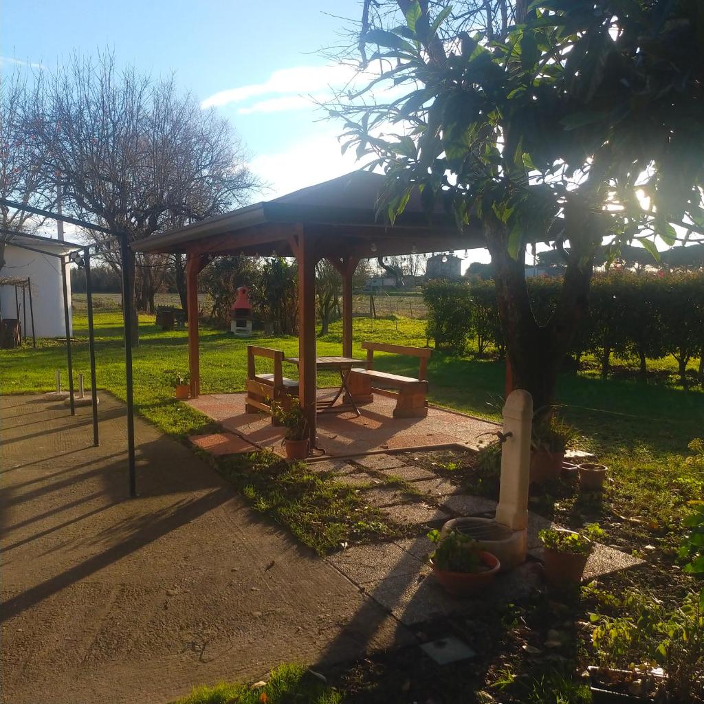 Mimoza Camper photo 3