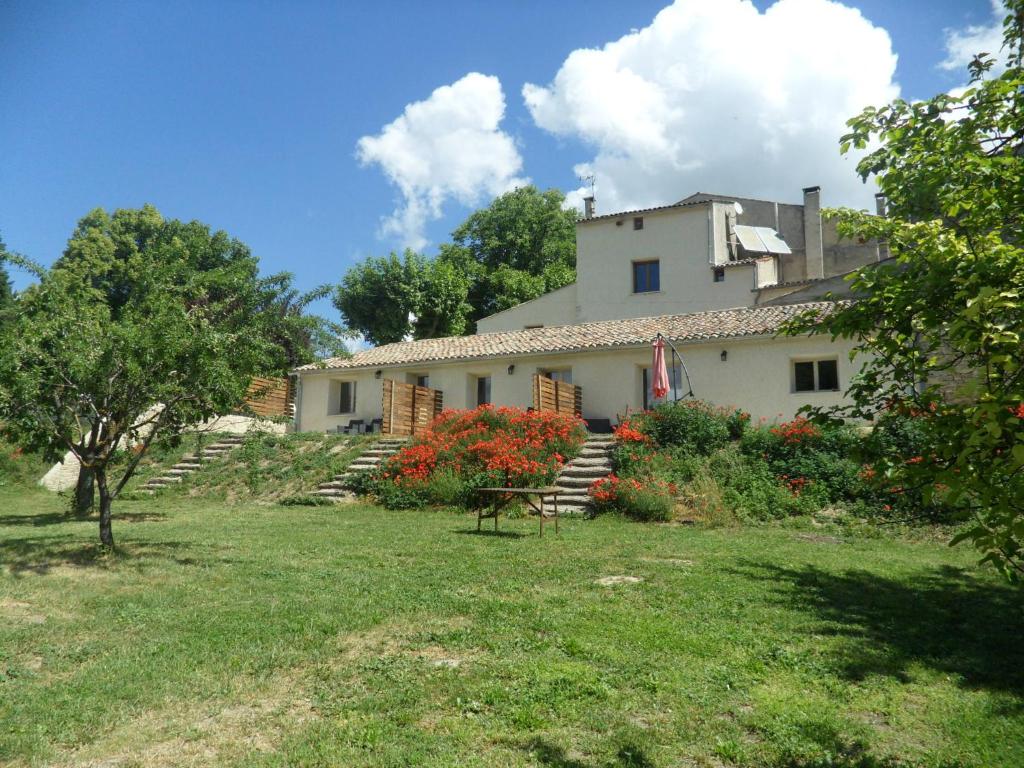 Les Ânes de Forcalquier photo 3