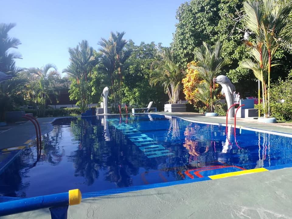 Hotel el descanso photo 3