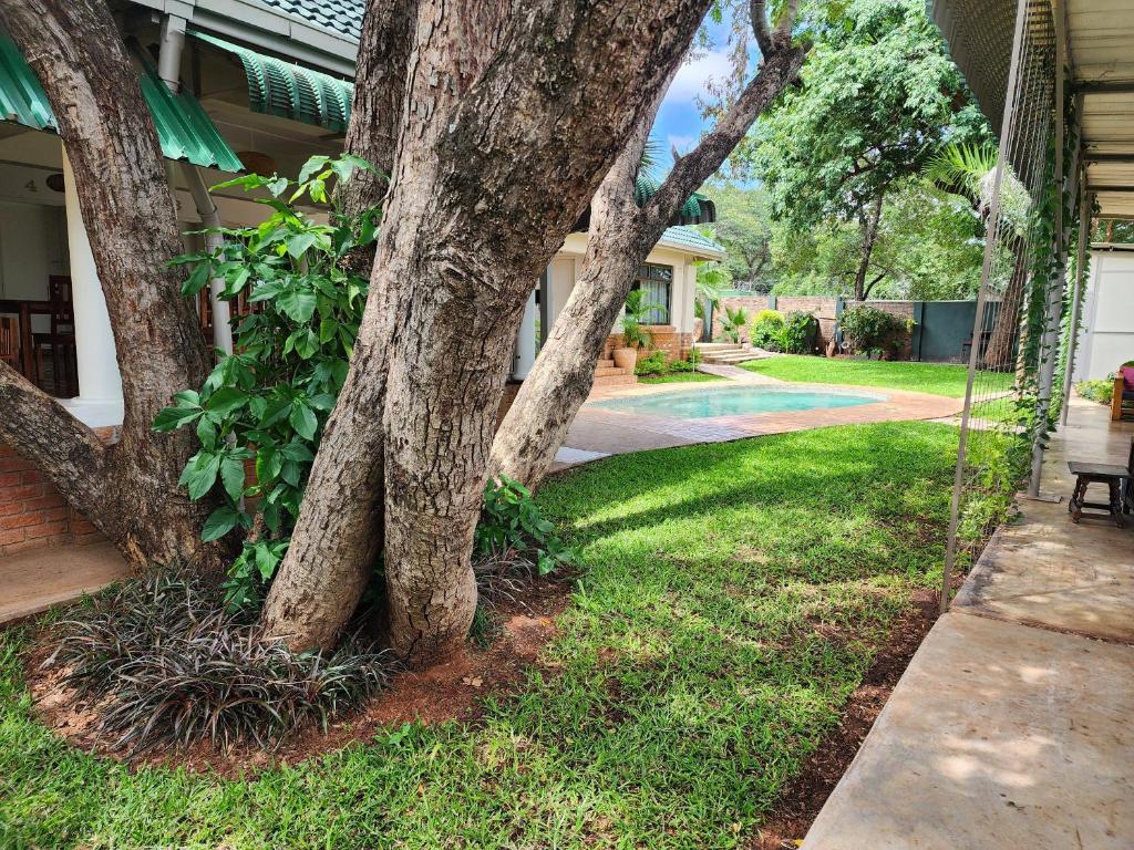 Livingstone Lodge photo 2