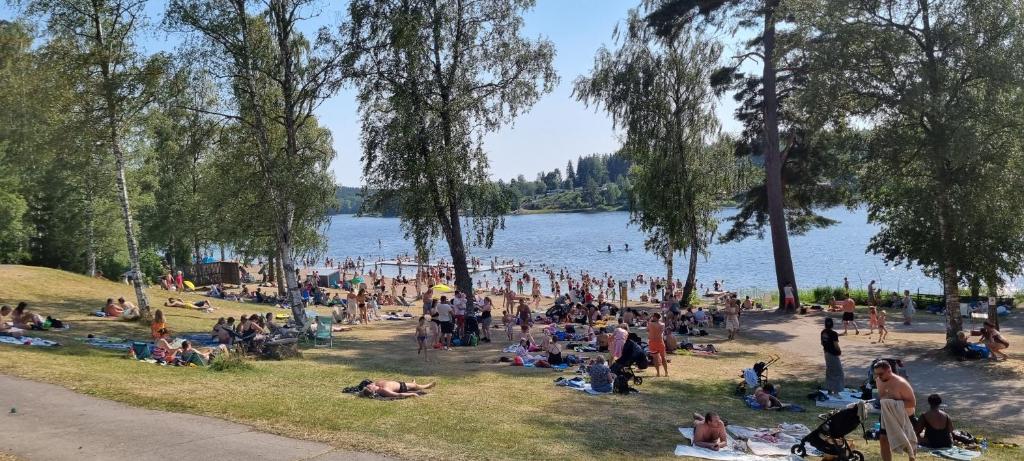 Vimmerby Camping photo 1