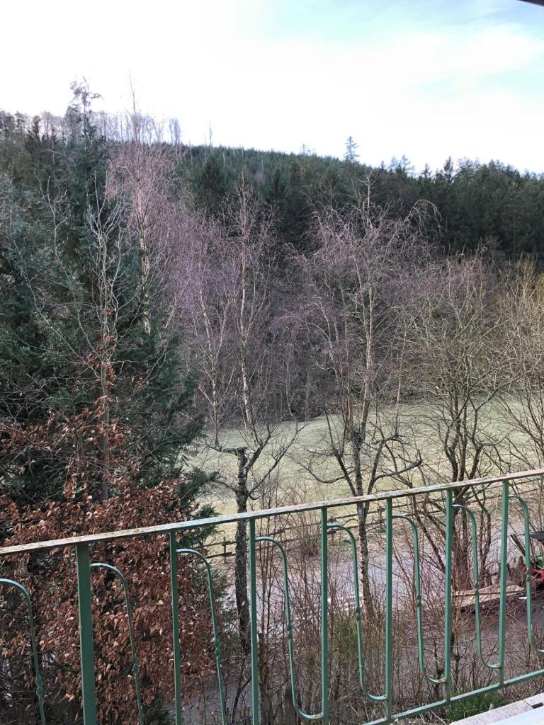 FeWo Wald Idyllika Room Type - Apartment with Balcony