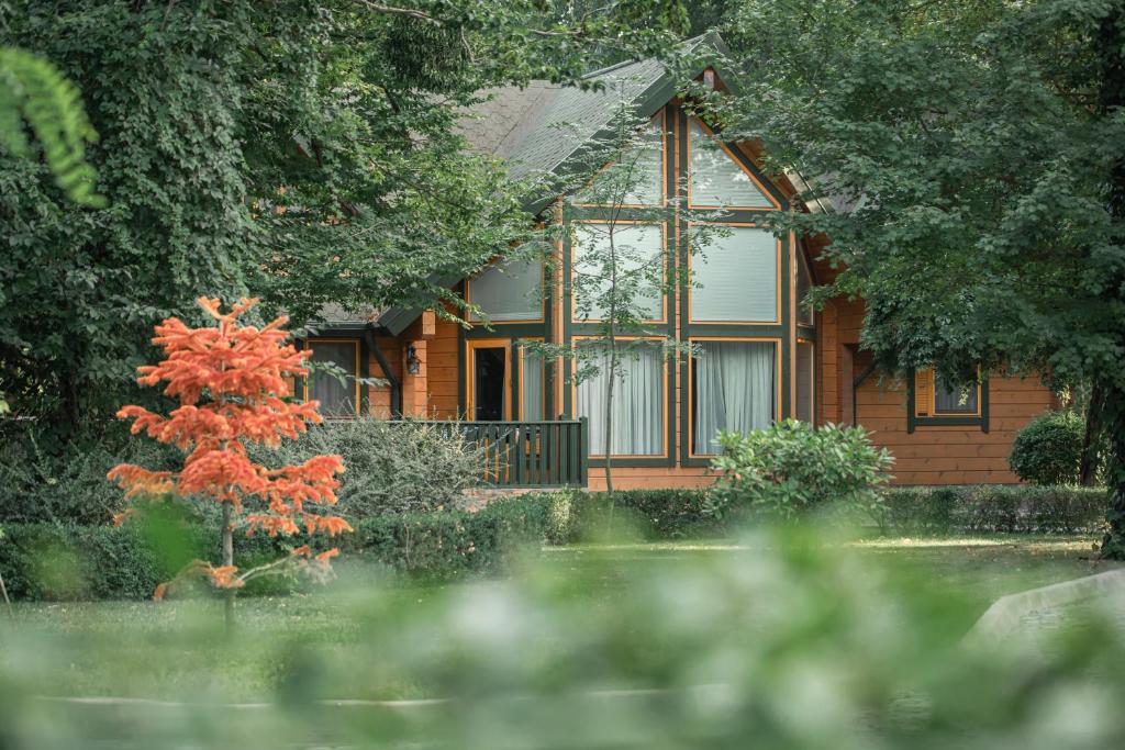 RIVER INN RESORT AND SPA photo 1