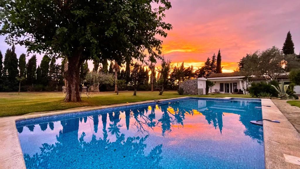 Hotel Finca Duende - Adults Only photo 4