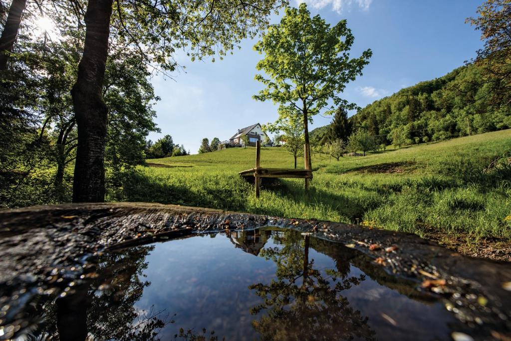 Na Kupčku Estate "Nature Reatreat & Wellness" photo 3