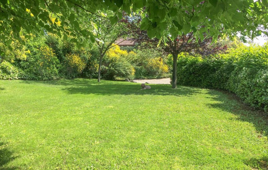Beautiful Home In Isernia With Wi-fi photo 1
