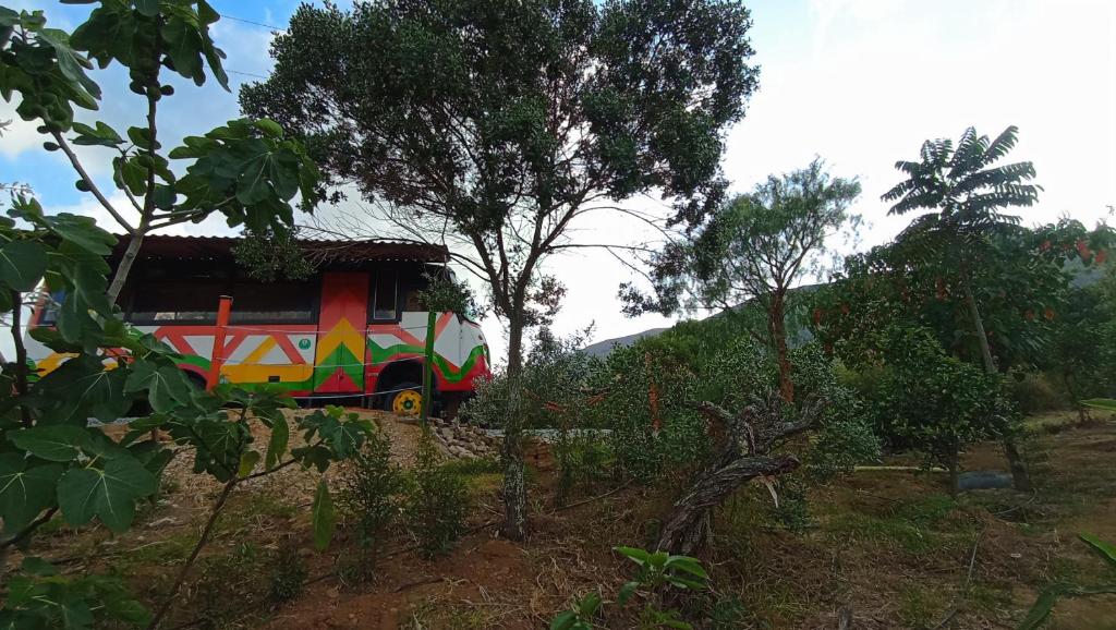 Los Nopales Glamping photo 3