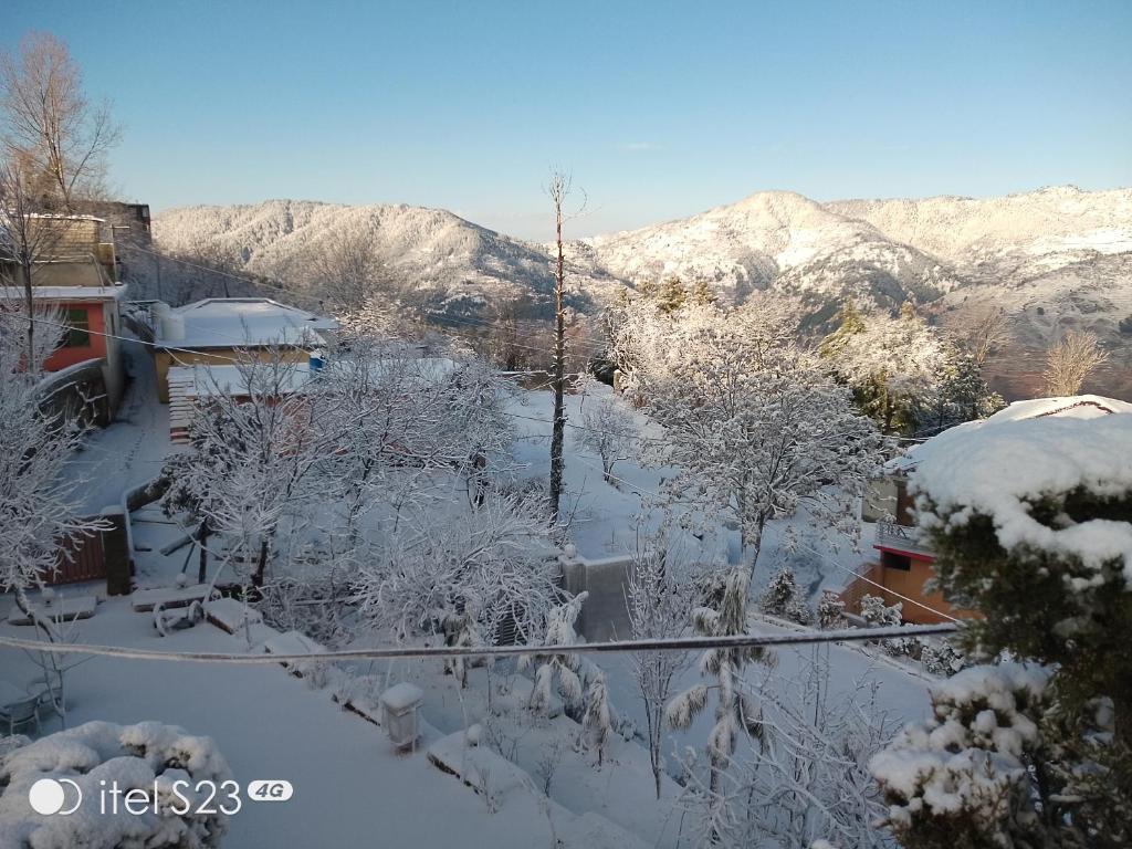 BHURBAN Mountain ViEW COOTEGE photo 2