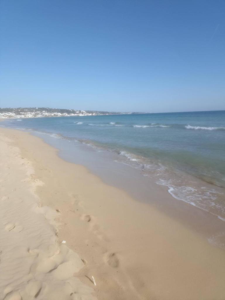 BLANCO I A 100 METRI DAL MARE, LOC. POSTO VECCHIO photo 2