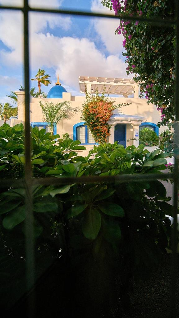 KATIS Villas Boutique Fuerteventura photo 4