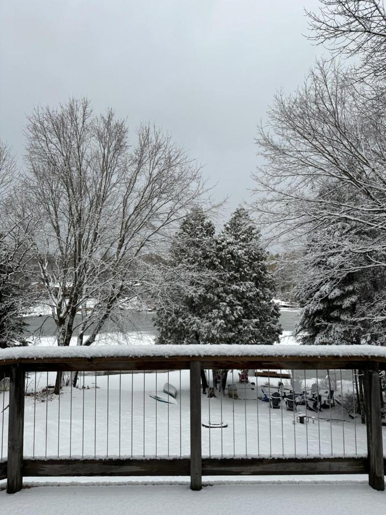 Waterfront Haliburton, All Season, Fully Equipped Cottage! photo 1